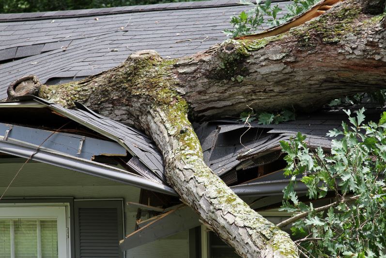 roof damage from storm