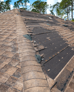 storm damage repair bradenton