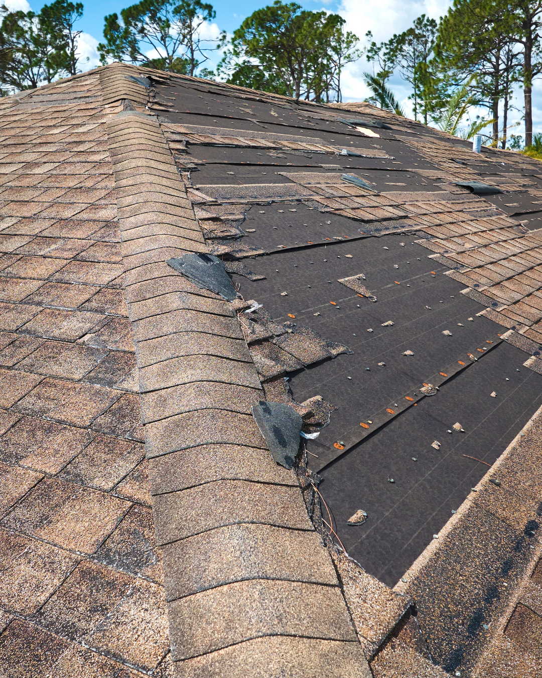 storm damage repair bradenton